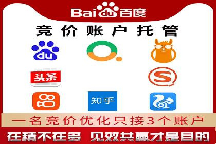 专业SEM代运营公司案例分析